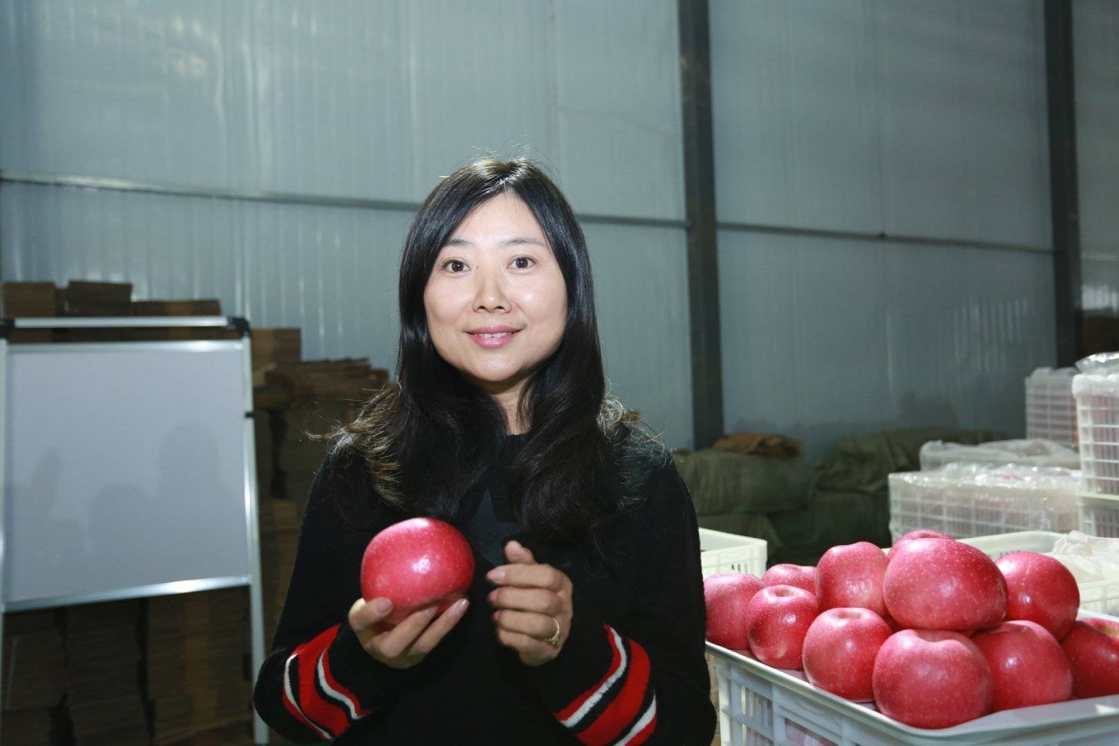 陕西果业|“延安有我一棵苹果树”当个快乐的都市农夫，你愿意认领吗？