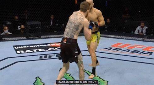 2020ufc雏量级最新排名_UFC雏量级排名第一的高手,惨遭神龙摆尾爆头!