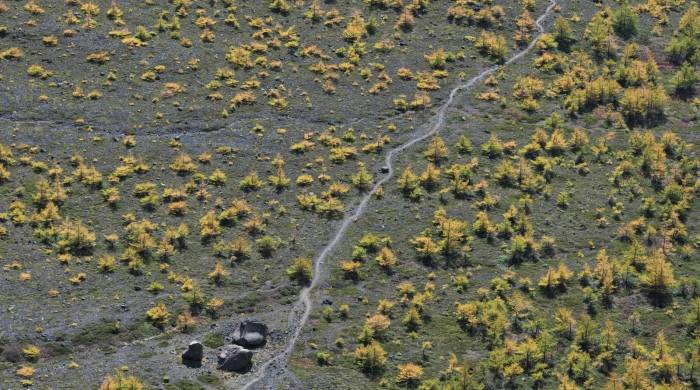 董明珠再次求变：加码员工股权激励，渠道变革分步骤-家电圈官网