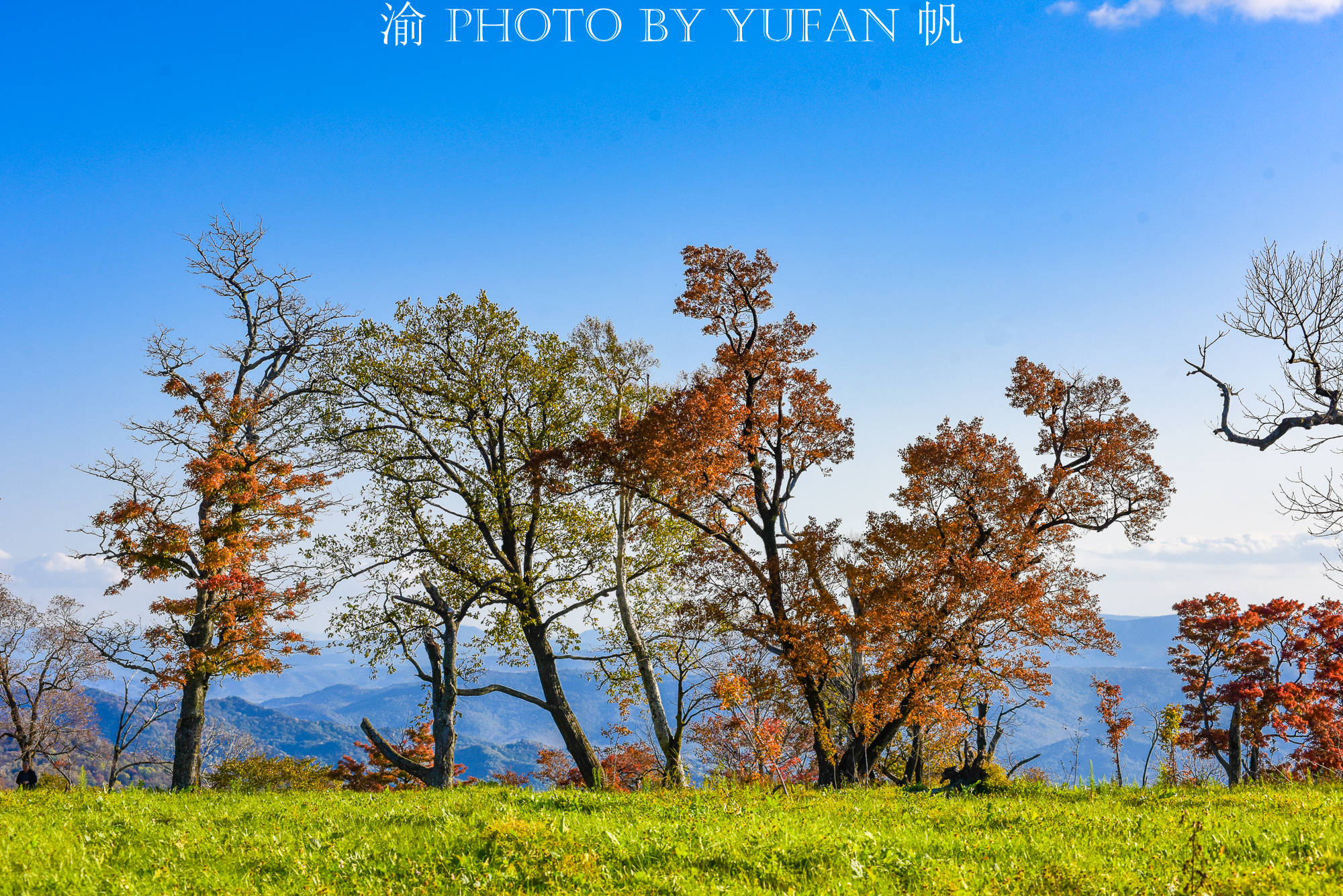 中朝边境之旅：最美风景在路上，窗外风光似画卷，异域风情尽展现