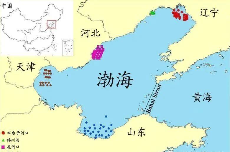 中国海鲜地理到渤海黄海东海南海吃什么海鲜美食请看这篇攻略