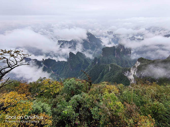 真香|一加 8T详细评测：3399元的真香屏幕超旗舰
