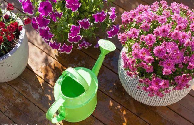 怎么养花才不会黄叶呢 73898debb0814be484bb9156523add3a.jpeg