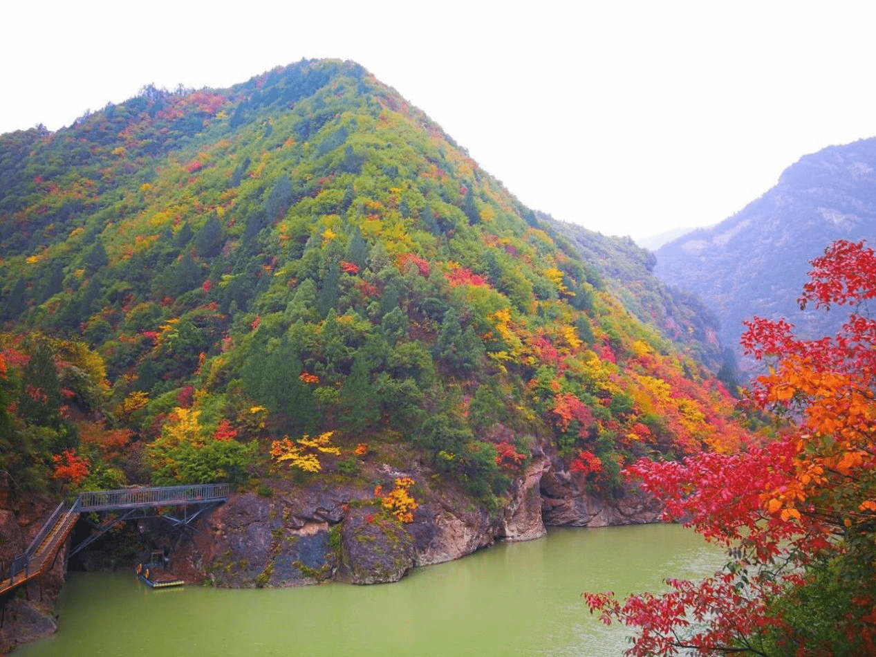 宝鸡凤县灵官峡景区红叶观赏节开幕 金秋赏红叶最佳打卡地|宝鸡凤县灵官峡景区红叶观赏节开幕 金秋赏红叶最佳打卡地