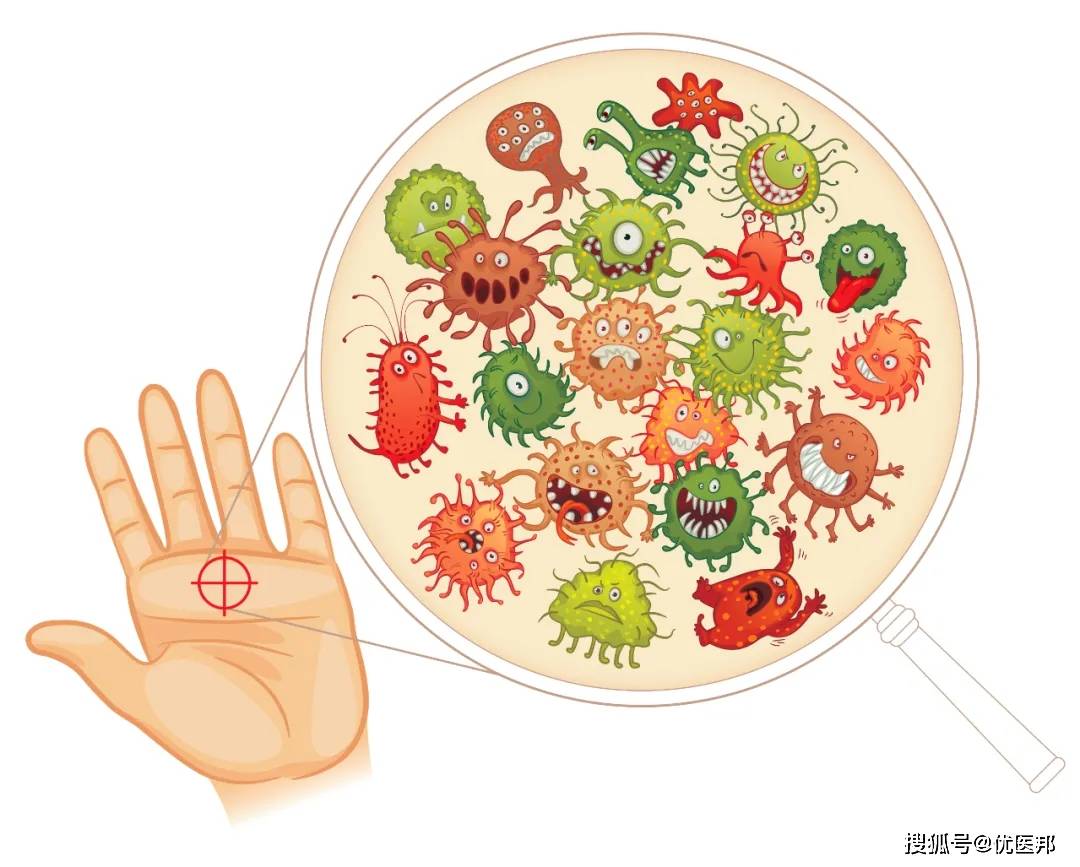 我们的双手可以说是与外界接触的主要部位,所以双手上的细菌非常之多