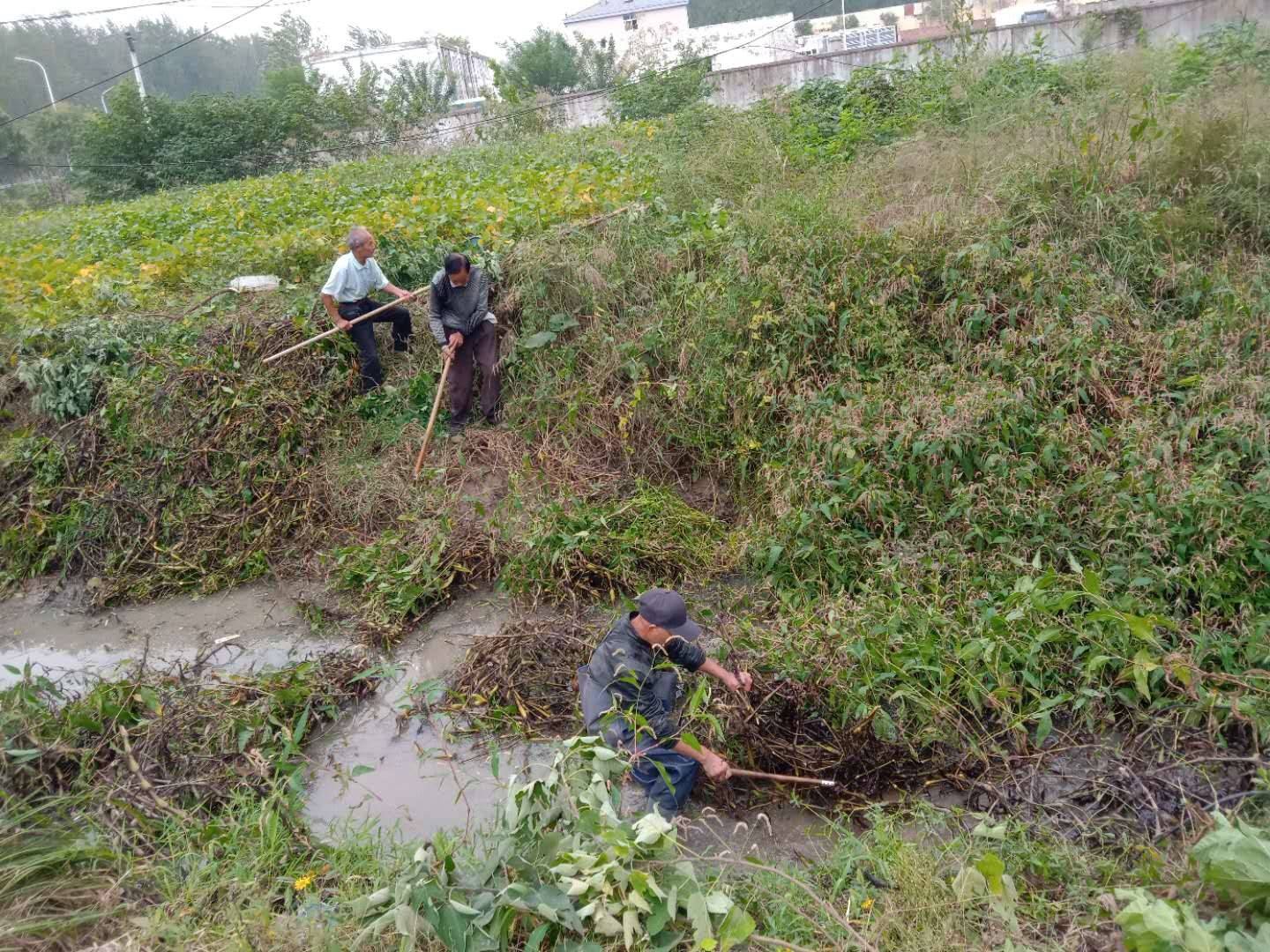 沭阳汤涧人口_沭阳地图