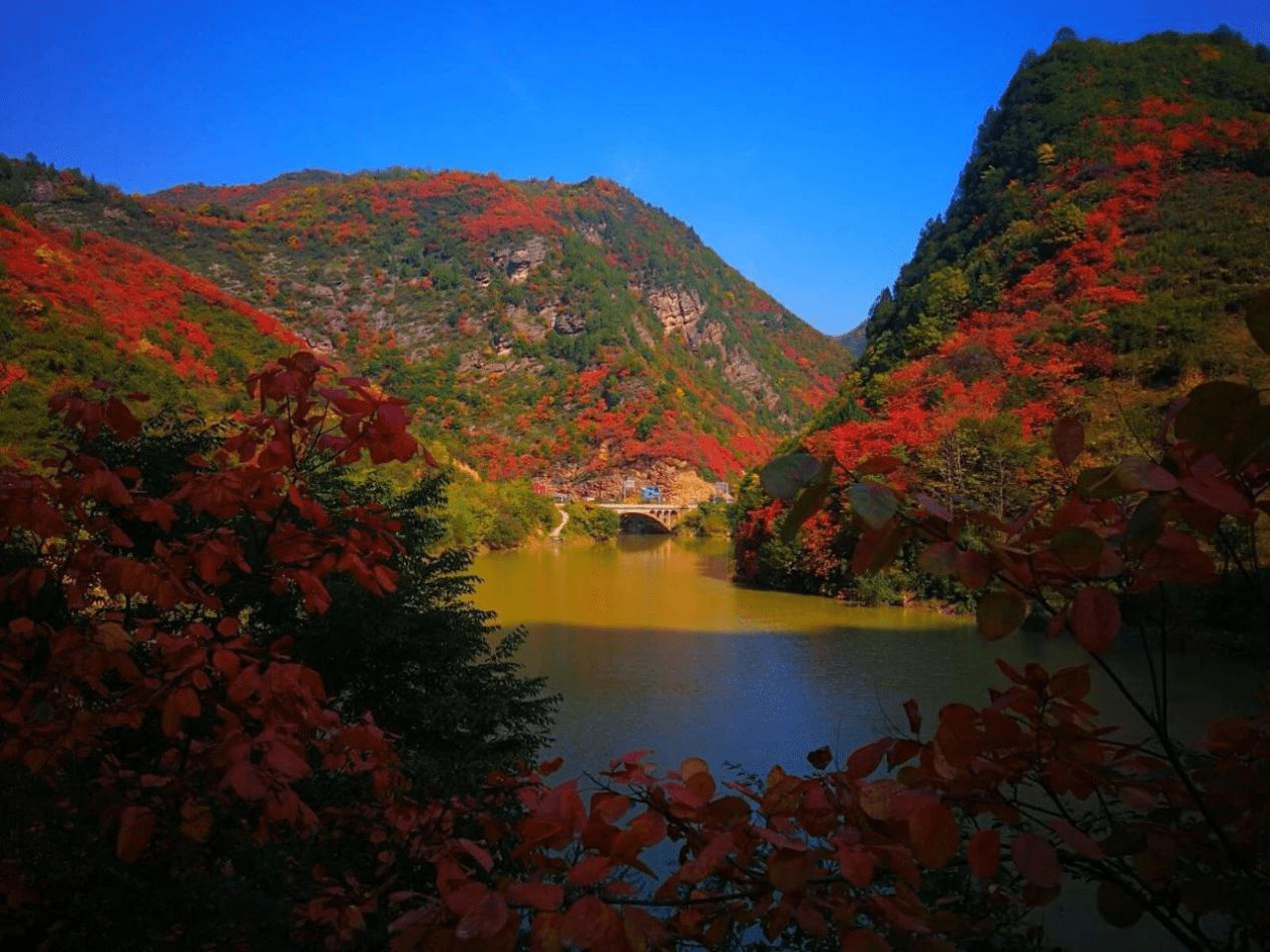 宝鸡凤县灵官峡景区红叶观赏节开幕 金秋赏红叶最佳打卡地|宝鸡凤县灵官峡景区红叶观赏节开幕 金秋赏红叶最佳打卡地