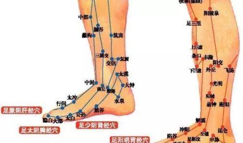 如何练气血足 daa6100eb7074485bc4cc56e8a202026.jpeg