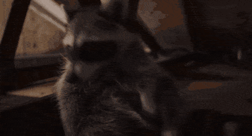 fbcf196ac03c4cb99c6bfeb59ca760f6.gif