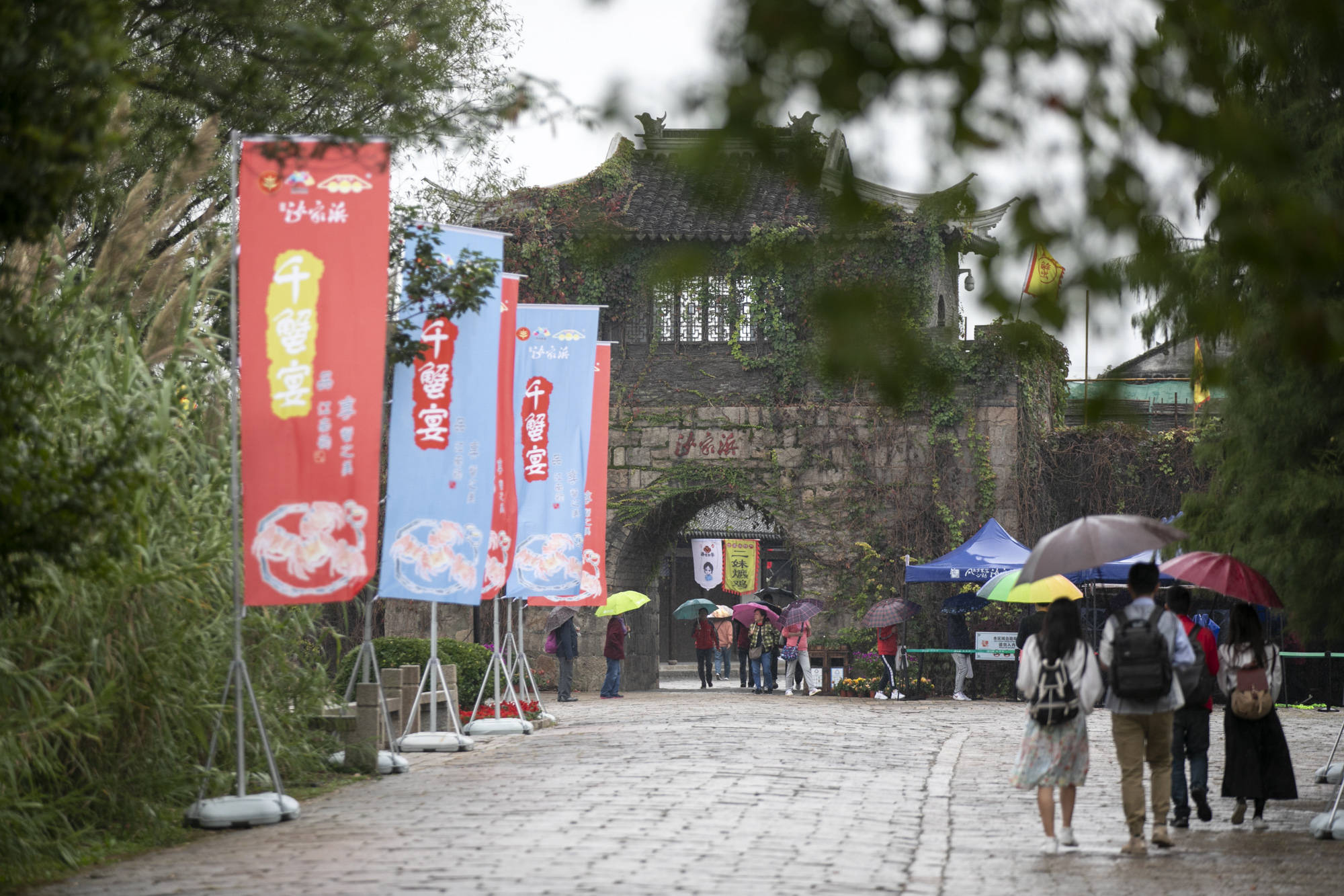 常熟沙家浜的秋天太“撩人”,大闸蟹,芦苇荡,烟雨江南好风光 常熟沙家浜的秋天太“撩人”,大闸蟹,芦苇荡,烟雨江南好风光
