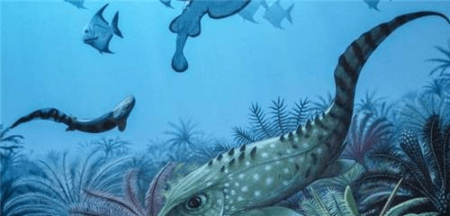 蓝色血液的动物 0cbb62b8e3ab45ae9dd170205e6231d8.png