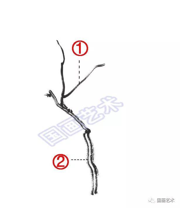 国画柳树的入门画法技法详解,柳树画法进阶教程