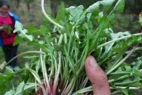 9b1f1b1747384137af2a92cf7a0e84dc.jpeg