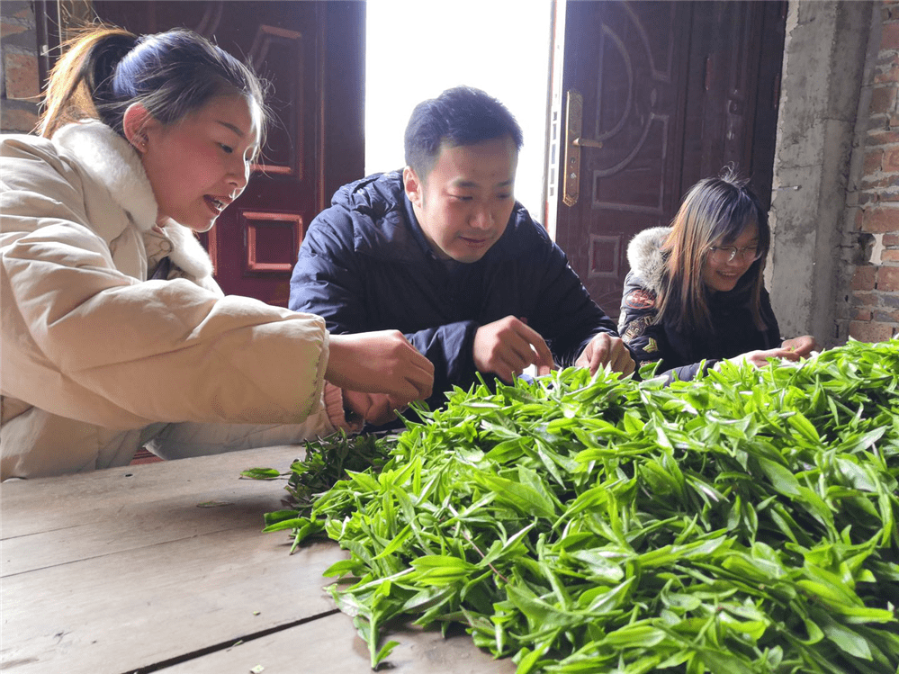 "四强"大招齐发力,精准扶贫有一套_金时恒