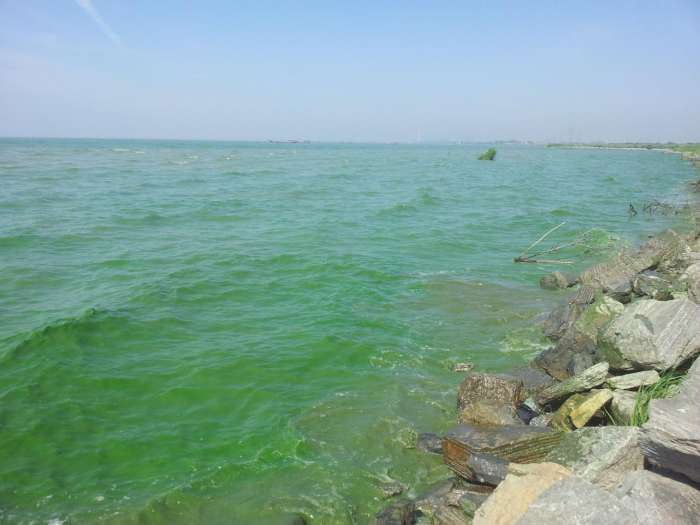 最大的淡水湖是哪一个 e735ac4b5d3144998011e68bcb16fdc3.jpeg