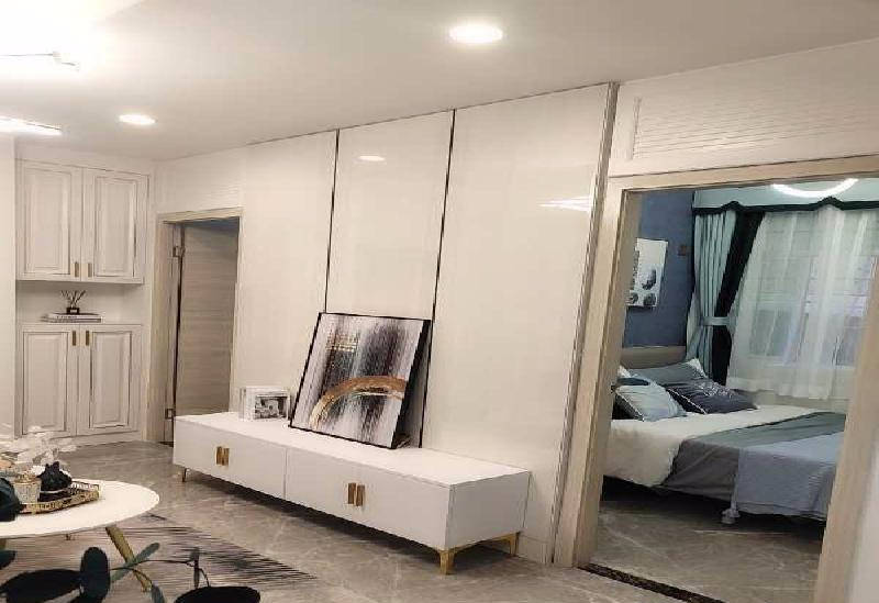 2019光明新区gdp_光明新区共享汽车