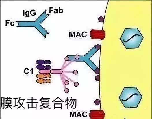 非一般人口_人口普查