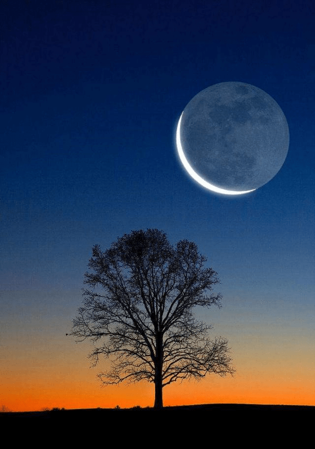 0c53cd884d2e470fa170476b02bbed5c.png