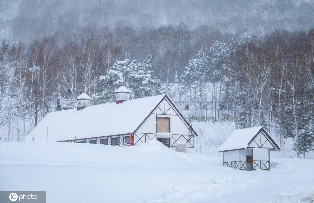 童话里的风景!日本北海道札幌小樽自然雪景