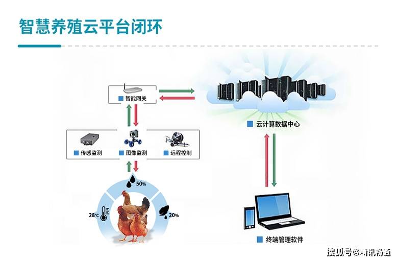 智慧养猪系统解决方案_手机搜狐网