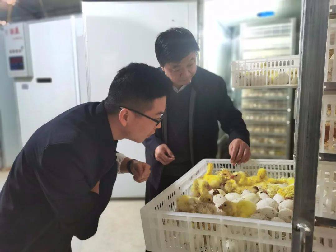 gdp考核乡村振兴_乡村振兴图片(2)