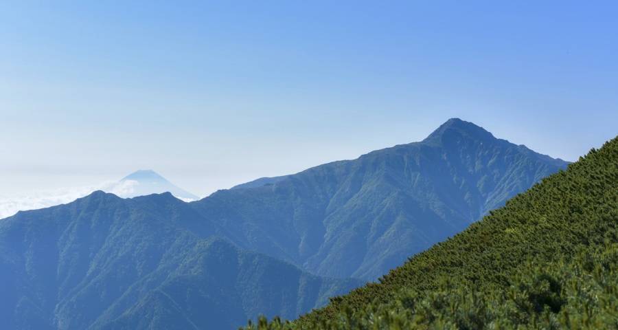 一些家电企业正加速出局或掉队-家电圈官网