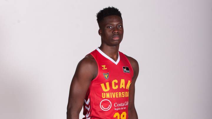 西斯排名_西斯廷圣母