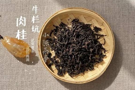 福鼎|喝茶是喝品质，还是盲从大师？无论白茶、岩茶、普洱茶、红茶