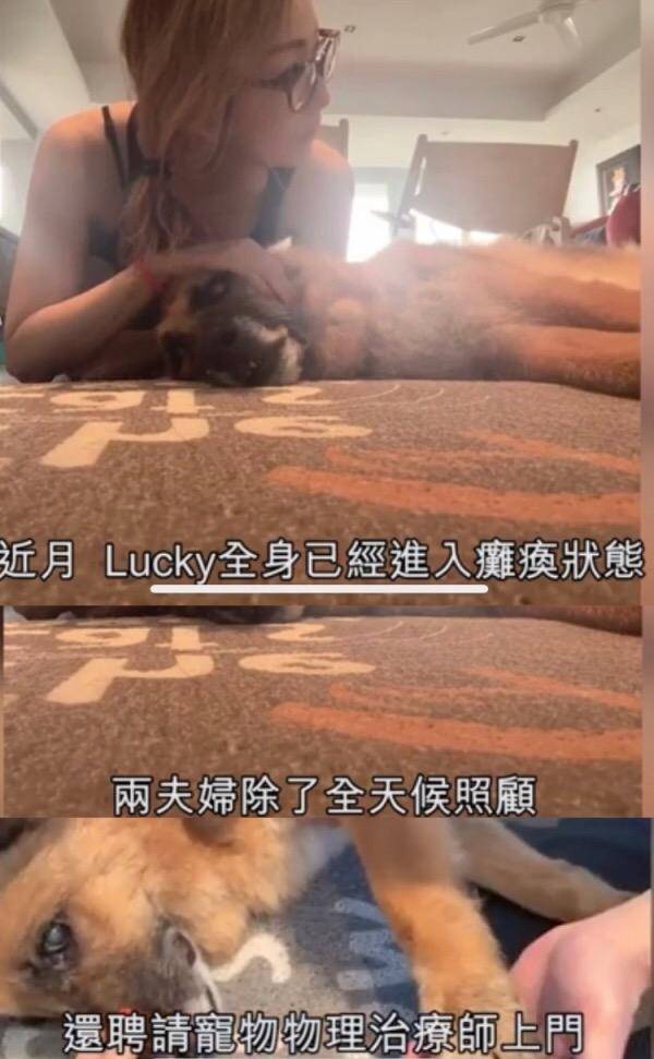 郑秀文与许志安手挽手，李湘力挺王岳伦，女明