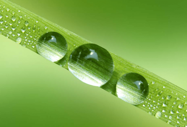 衣裳|耿汉东古风淮北之：黄桥剿匪记