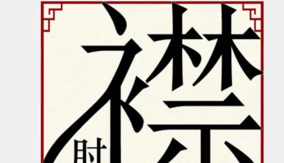 襟字衣补底下有个肘猜成语_两个胳膊肘都有一块癣(2)