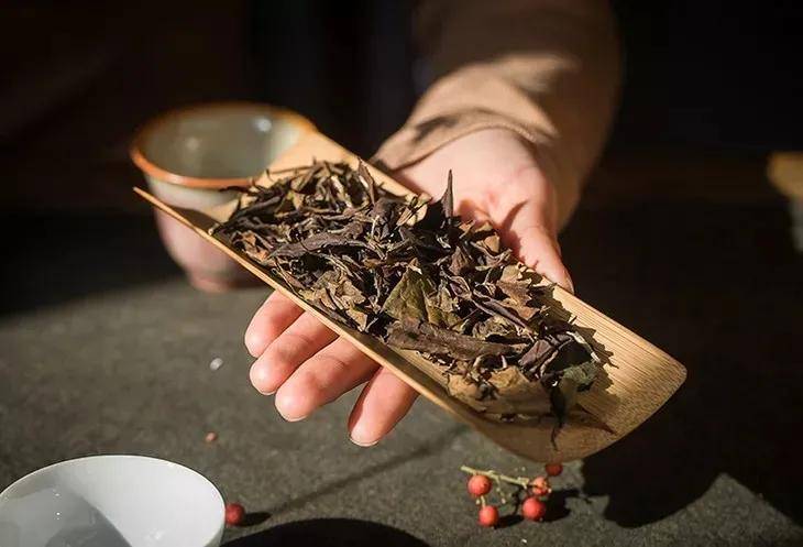 白茶|你喝到过粘稠感么?在老白茶的茶汤里