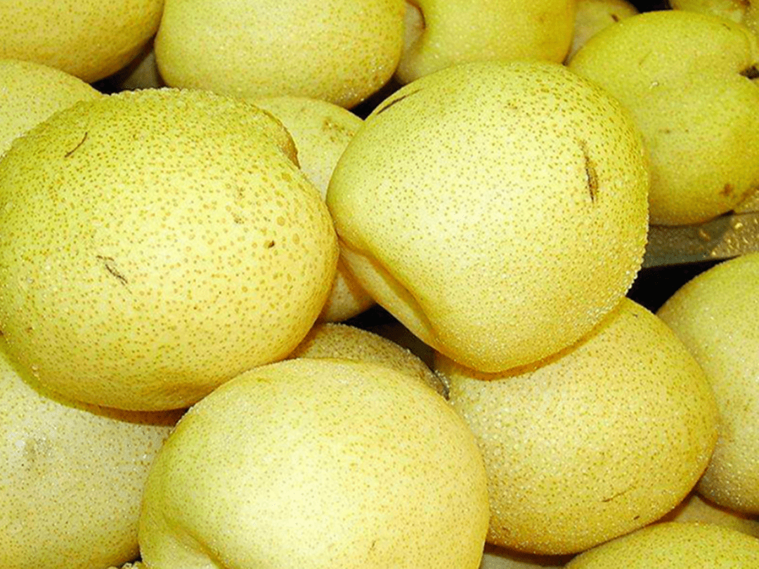 怎么挑选好吃的梨子 e0b1421b47ec436eb7c0c722805d0adf.png