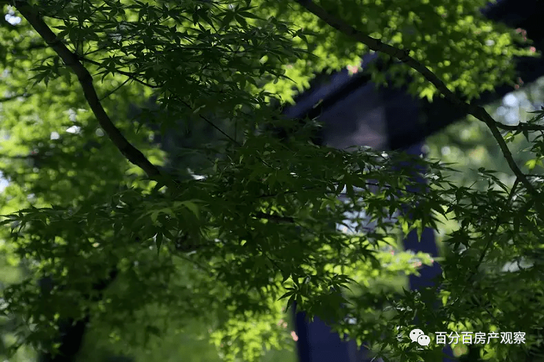 中凱曼荼園-上海中凱曼荼園樓盤詳情-中凱曼荼園千萬別錯過了! 中凱曼荼園-上海中凱曼荼園樓盤詳情-中凱曼荼園千萬別錯過了!