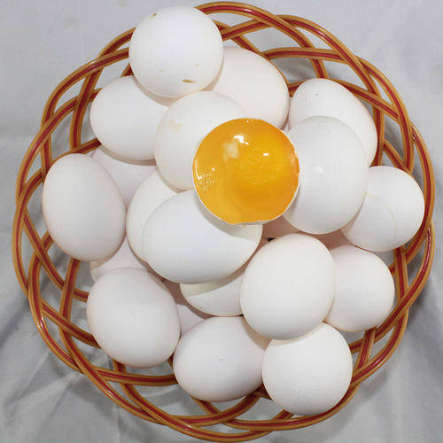红皮鸡蛋vs白皮鸡蛋,哪个营养更高?_颜色