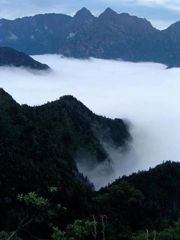 重游阴山愿历尽山河，仍觉人间值得_山顶