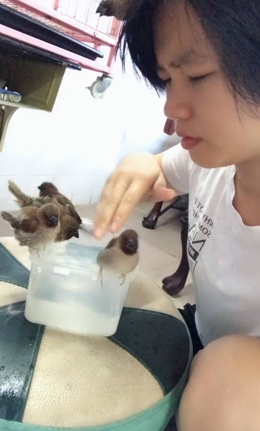 到底什么是吹口 3b1b90dc4b1a413ea3dc56f3e8a0ed52.jpeg