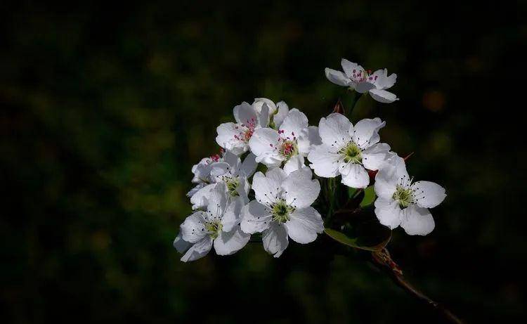 十月下旬，四生肖桃花運勢不可擋，良緣撲面而來，將找到真愛 星座 第1張