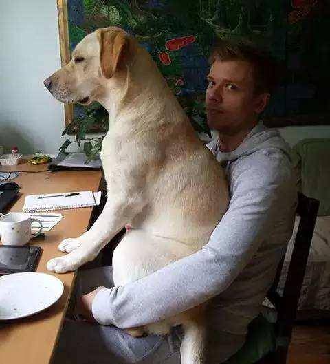 解密梦境，梦见被狗咬了，究竟预示着什么？