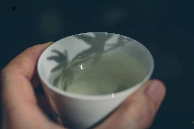 白茶|暮秋养生就选它！绿茶、红茶、青茶、福鼎白茶