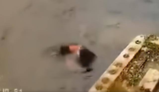 原创南京一女子系鞋带,被同伴推入水库,落水后还遭死死压住