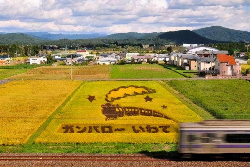 日本农业:精细农业另外美国农业生产高度发达且极具竞争力.