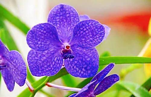 万代股份盈利靠退税：业绩滑坡超全行业 合法意