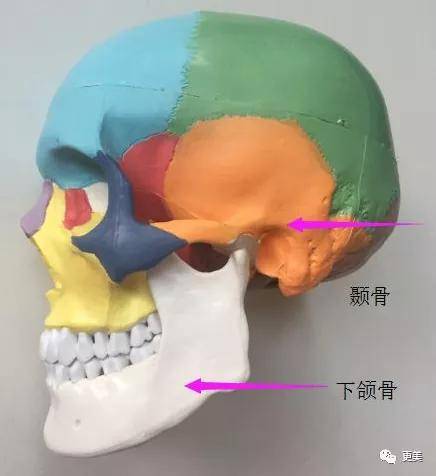 面部|韩国小姐冠军出炉，和王思聪前女友撞医生，才22岁就老了...