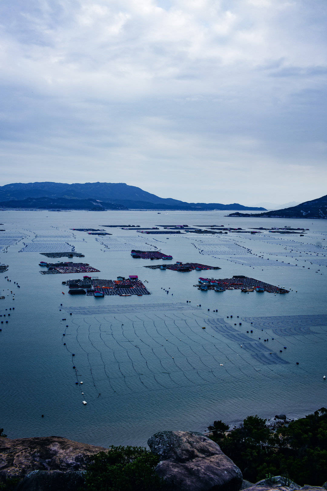 漫步在霞浦的海边，遇见最美的滩涂时光_三都澳