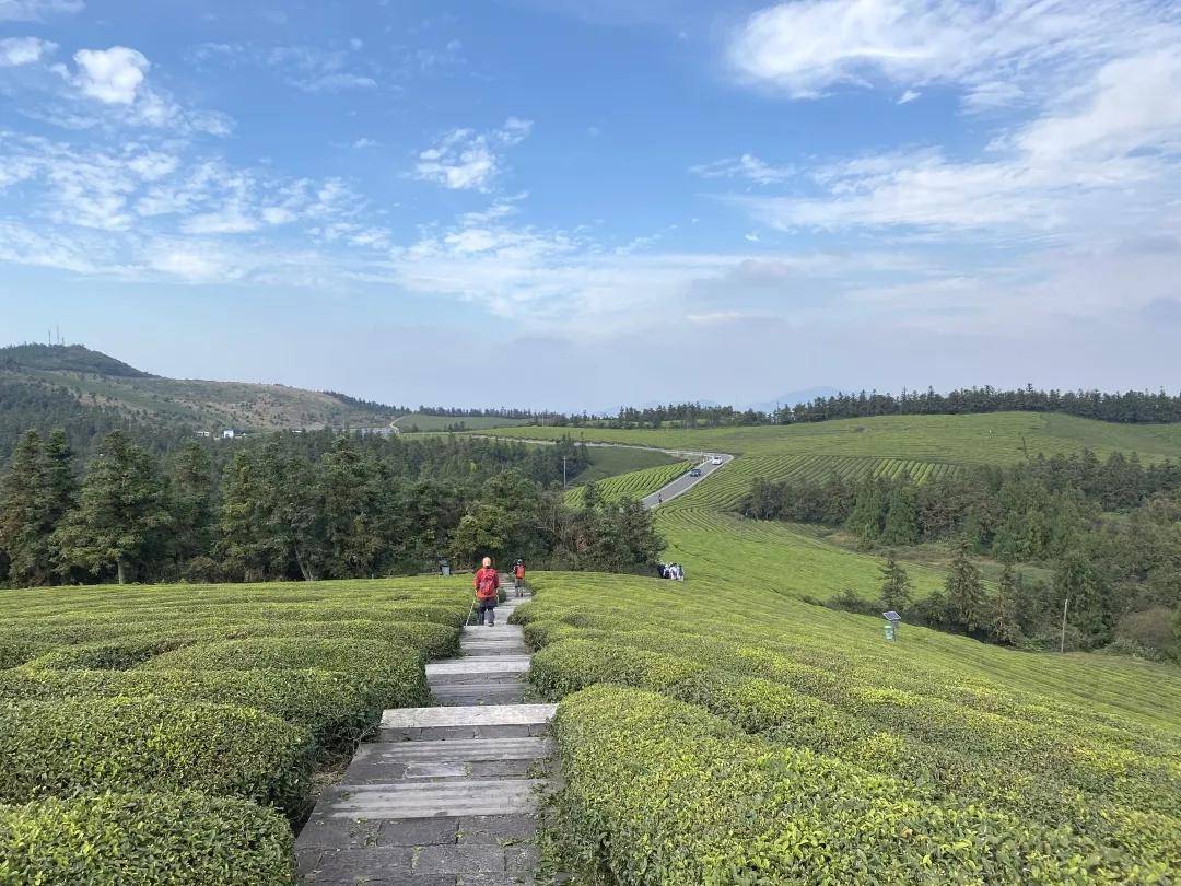 活动回顾漫步大嵩岭古道穿梭福泉山茶园轻松徒步环线