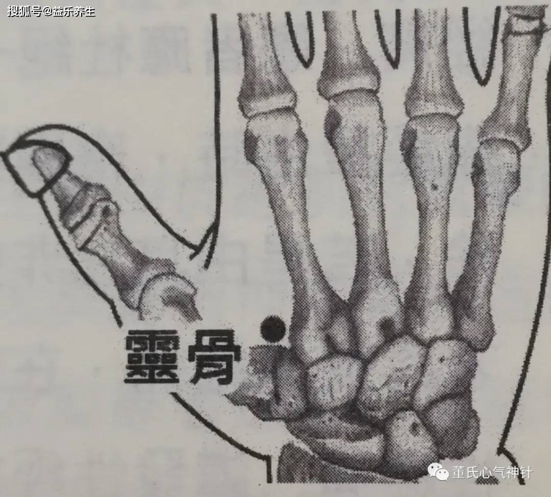 灵骨穴位于手背虎口,姆指与食指叉骨间,即第一掌骨与第二掌骨接合处