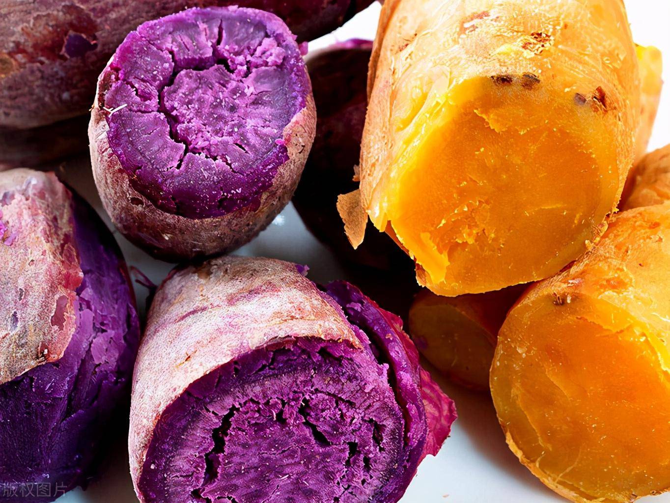 紫薯和红薯有什么区别本属于不同品种用途和价值有差异