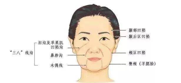 脂肪型|赵露思费劲巴拉才撕下大饼，秒被书粉喊退货，发布会生图确实让人出戏...