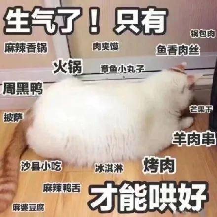 就是我最讨厌苦的东西了 但你是甜的所以我吃定你啦生活不易 猪猪叹气